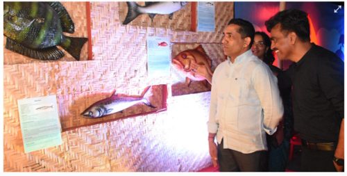 Agua goa fish festival 2019 (2)