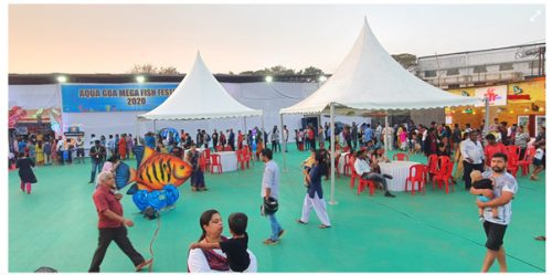 Agua goa fish festival 2019 (7)