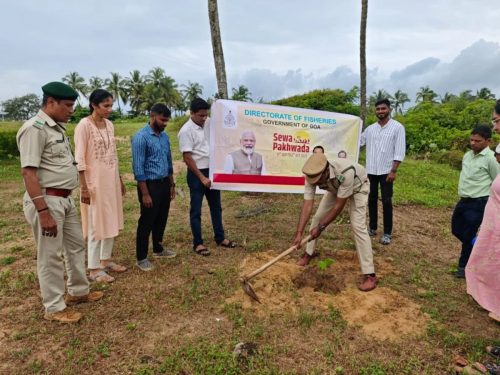 Cleanliness and Plantation Drive (5)