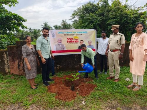 Cleanliness and Plantation Drive (6)