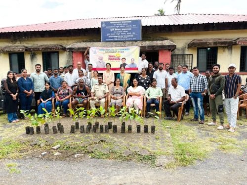 Cleanliness and Plantation Drive (8)