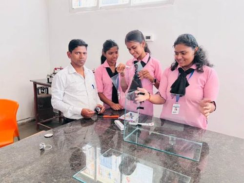 ornamental culture (6)